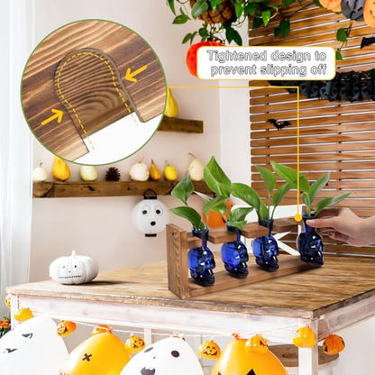 Plant Propagation Stations Halloween Skull Plant Terrarium Kit - color: Blue