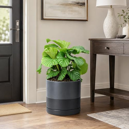 D'vine Dev 10 Inch Ceramic Planter Pot, Slate, 94-O-E-5 - color: Slate, size: Large