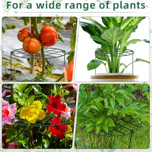 6 Pack 12 x 16 Inch Peony Cages and Supports for Outdoor Plants - size: 6pack/12 X 16 inch