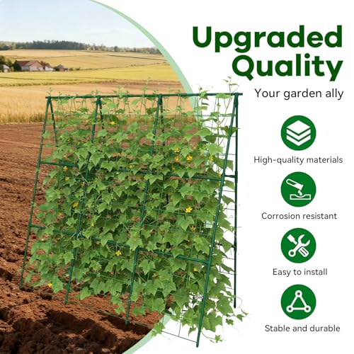 Cucumber Trellis 49.4"*49.4" Metal Garden Trellis for Climbing Plants,Green - size: 50"*32"*50"-G
