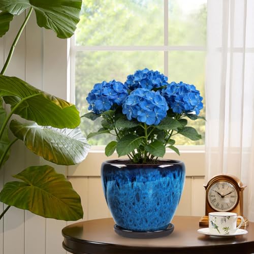 Ceramic Plant Pots With Saucer & Drainage Hole, 8 inch Indoor Flower Pots - color: Blue, size: 8 inch