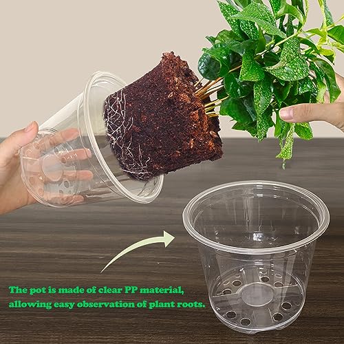 RAOOKIF 30 Pack 1 Gallon Pots with Drainage Holes, 7 Inch Clear Nursery pots, 1 Gallon Plastic Plant Pots for Seedlings, Clear Seed Starters, and Flower Planting - size: 7 Inch