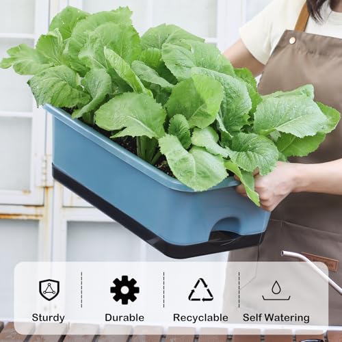Oliz Window Box Planter 6 Pcs, 17 Inches Rectangle Flower Pots with Drainage Holes and Trays, Vegetable Planters for Windowsill Patio Garden Balcony Home Indoor Outdoor (Blue, 18 * 10 * 6 inch) - size: 18*10*6 inch
