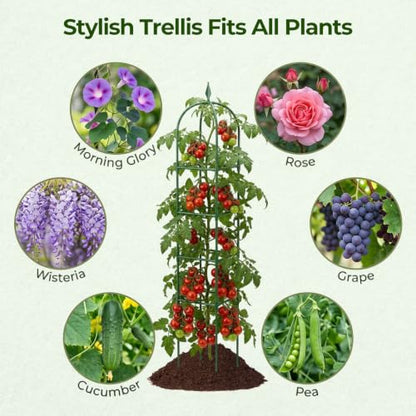 MYMULIKE 2 Pack Garden Obelisk Trellis for Climbing Plants Outdoor & Indoor - 6Ft Rustproof Garden Trellis Plant Support Cage for Vines, Flowers, Vegetables, Roses | Heavy-Duty, Adjustable