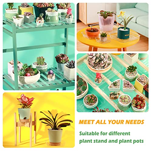 30 Pack Plant Saucers for Indoors 12 Inches Plant Trays for Pots Plastic Trays for Plants Square Plant Drip Trays for Potted Plants Flower Pot Saucers Clear Plant Plates to Catch Water, Bulk - size: 12 Inches