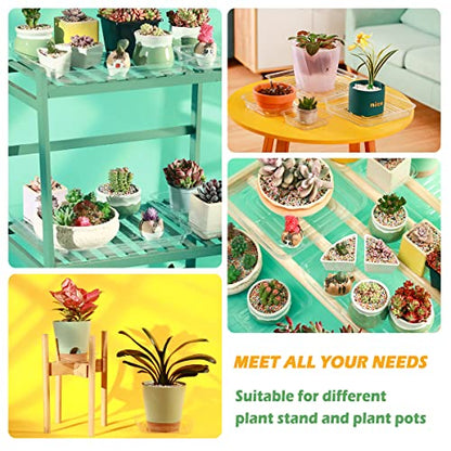 30 Pack Plant Saucers for Indoors 12 Inches Plant Trays for Pots Plastic Trays for Plants Square Plant Drip Trays for Potted Plants Flower Pot Saucers Clear Plant Plates to Catch Water, Bulk - size: 12 Inches