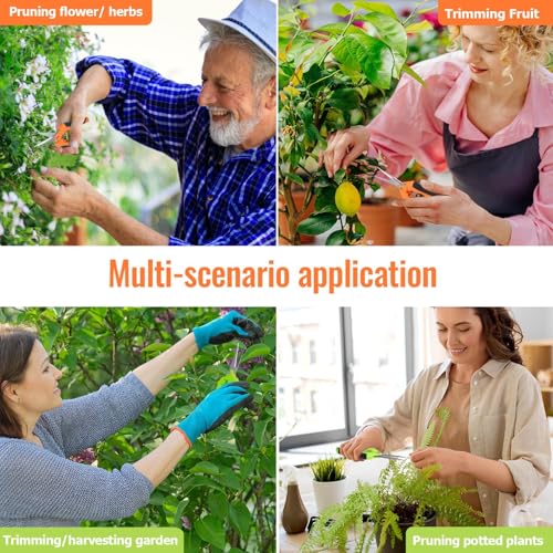 4 Pack Pruning Shears 6.5 Inch Stainless Steel Garden Scissors - color: Orange Green