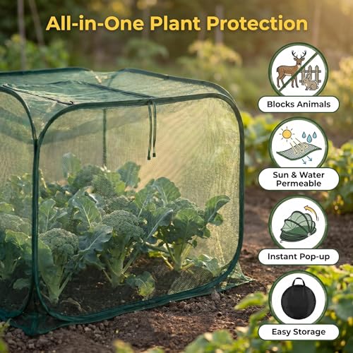 Collapsible Pop-Up Mesh Garden Cover（35''x35''x31''for Square Raised Beds-30% Sunblock，Protective Netting Cage for Vegetables, Fruits & Flowers, Keep Birds and Small Animals Out - size: 35''x35''x31''