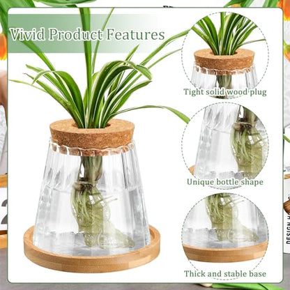 6 Pcs Glass Plant Propagation Station with Wood Lid & Stand, Cute Style - style: Cute Style