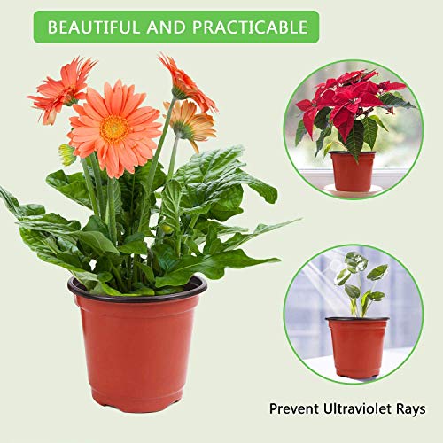 Augshy Plant Pots,40 Pcs 4" Plastic Plant Nursery Seed Starting Pots Nursery Pots for Succulent Seedling Cutting Transplanting - size: 4 Inch
