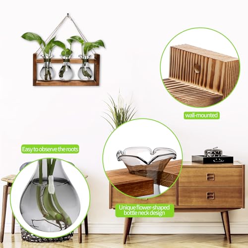 Plant Propagation Station Plant Terrarium Unique Birthday Gifts for Women - color: Gray