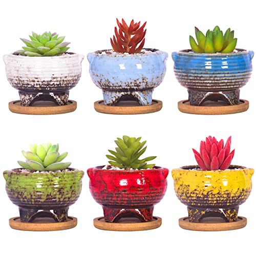 Succulent Pots, 4 Inch Small Plant Pots with Drainage Tray Set of 6 - color: Colorful - 4 Inch