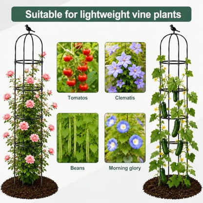OTOSUNNY 2 Pack 6 ft Garden Obelisk Trellis for Climbing Plants Outdoor - size: 2 pack 75.6 in