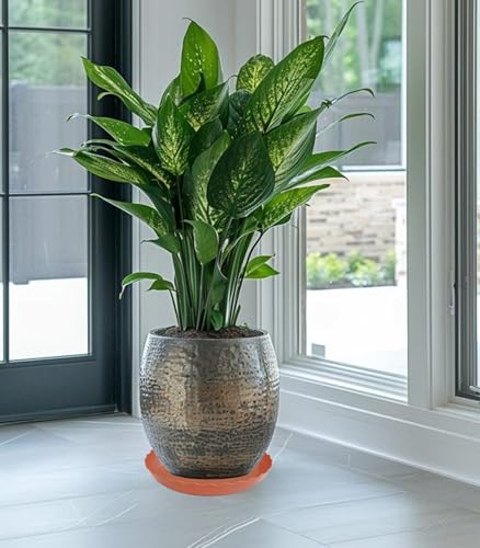 6 Pack Plant Saucer 8 inch, Heavy Duty Plastic Plant Water Tray, Planter Saucers, Flower Pot Tray Water Trays for Plant Pots (Terracotta) - color: Terracotta, size: 8" (6 pack)