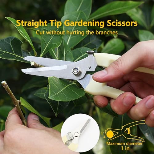 White Dual-Blade Set, Straight & Curved Stainless Steel Garden Shears, Sharp Handheld Trimming Tools for Flowers & Fruit Trees, Gardening Gifts for Women & Men