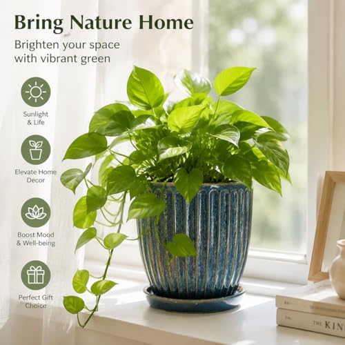 6-Inch Ceramic Plant Pots with Drainage Hole, Modern Flower Pots - size: 6 Inch