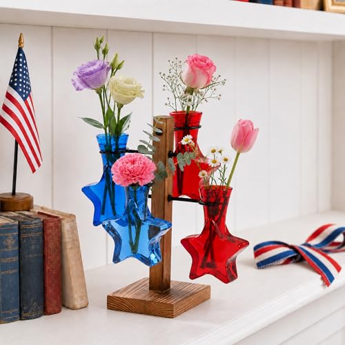 Nacome Plant Terrarium Propagation Station: Red Blue Vase with Wooden Stand - color: Red Blue