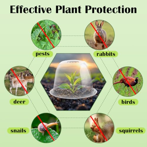 10" D × 6.7" H Plant Protectors from Animals, Garden Cloches for Seedlings Nursery Pots, Durable Humidity Domes with Ventilation Holes, Clear Plant Covers, Mini Greenhouse for Plants 5-Pack - size: 10" D × 6.7" H 5P