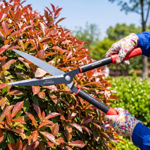 AGRICUT Garden Shears for Hedges – 23.6" Hedge Shears with High-Carbon Straight Blade, Teflon Coated, Lightweight 790g – Shears for Gardening, Ideal for Privet, Box, Yew & Thuja - style: Straight Blade