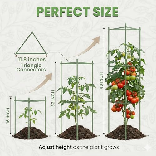 3 Pack 48" Tomato Cages for Garden - Large Tomato Plant Support Trellis - size: 3 Pack, 48 Inches