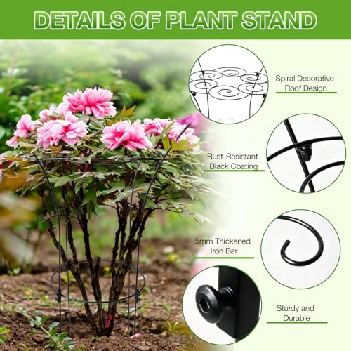 Peony Ring Metal Plant Support Cage 39in Rustproof for Roses