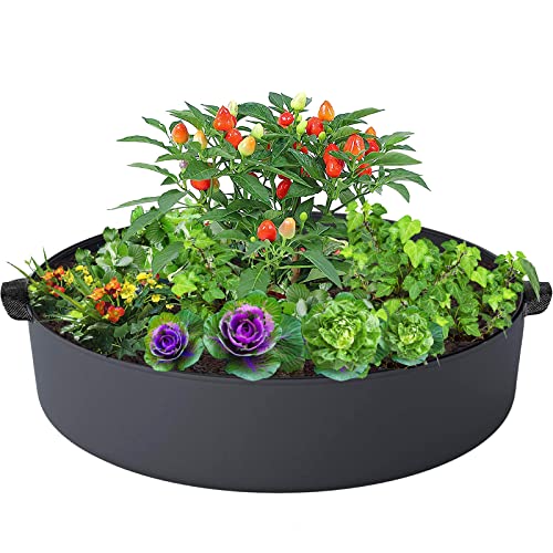 ZtohPyo 15 Gallon Plant Grow Bags, Round Fabric Raised Garden Beds Planter Pots with 2 Handles,Durable Breathe Cloth Planting Bed Gardening Container to Grow Vegetables for Outdoor Plants - size: 1-pack 15 Gallon