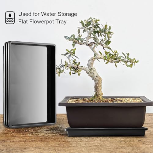 RooTrimmer 10 Pack Nursery Pots Trays (17"x11"x2"), Plastic Flat Seed Starter Trays, Durable Carrying Seedling Starter Tray, Reusable Tray for Planting and Collecting Drainage Water (Black) - color: Black, size: Holding Trays-10P
