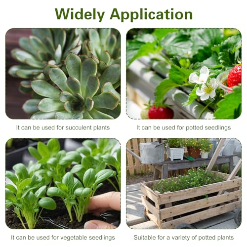 36 Pcs Nursery Pots 4 Inch, Plastic Seed Starting Pot with Drainage Holes, Sturdy Seedling pots for Planting, Succulents, Transplanting, Cuttings (Black)