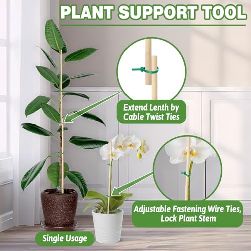 AUGSHY Plant Stakes 18 Inch, 40 PCS Natural Bamboo Garden Stakes