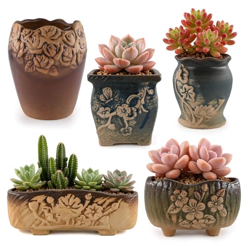 Ceramic Succulent Garden Pots Retro Small Plant Planter Container with Drainage Set of 5 for Home Office Decor - color: F Set of 5