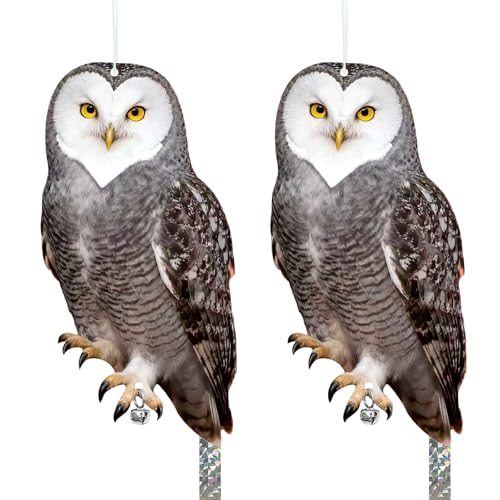 Owls to Keep Birds Away: 2Pcs Fake Owl with Reflective Tape for Orchard Garden Patio Pool, Reflective Hanging Decoration to Keep Birds Pigeon from Windows Tree Vineyard - color: Heart-2pcs