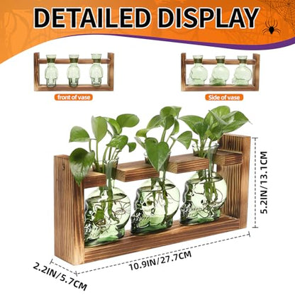 Plant Terrarium Propagation Stations Skull Planter Vase Skulls Decor - color: Green
