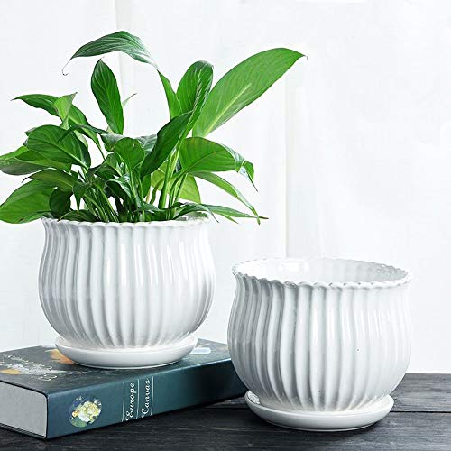 Yesland 3 Pack Ceramic Planter Pots, 3.9"/5.3"/6.7" Modern Round Flower Pots with Drainage Holes & Saucers, Small Indoor Planters for Succulent Cactus, Home Decor Gift