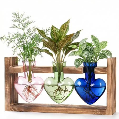Plant Propagation Station 3Pcs Heart Vase with Wooden Stand Tabletop for Hydroponics Indoor Home Table Decor for Her Plant Lovers Women Mom Wife Daughter (Three Colors) - color: Three Colors
