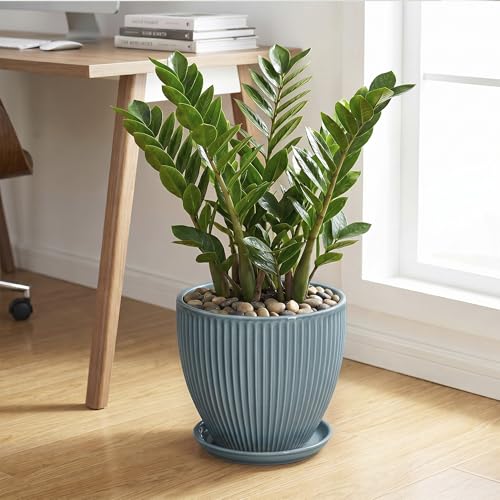 10 Inch Plant Pot, Ceramic Flower Pots with Saucer, Glaze Blue - color: Glaze Blue, size: 10 Inch