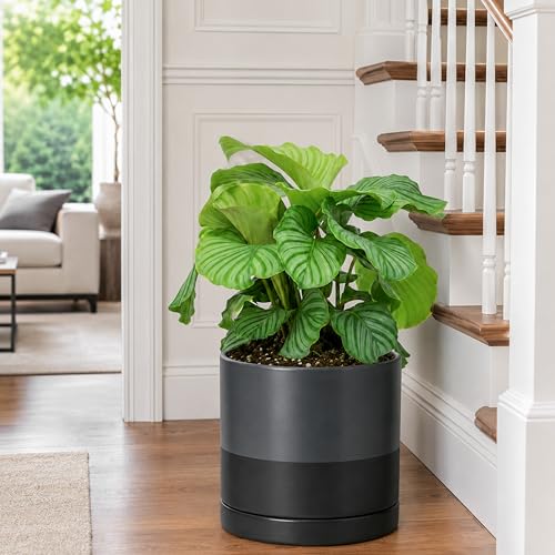 D'vine Dev 10 Inch Ceramic Planter Pot, Slate, 94-O-E-5 - color: Slate, size: Large