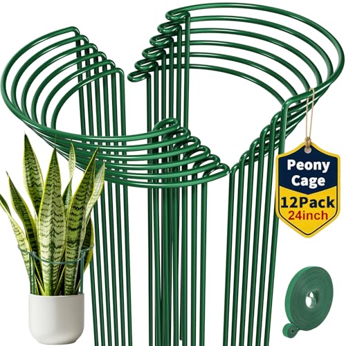 AMAGABELI Garden & Home 12 Pack Plant Support Stakes 10" W x 24" H Heavy Duty Half Round Peony Cage Metal Garden Support Structures Plant Cage with Ties for Indoor Flower Tomato Hydrangea Monstera
