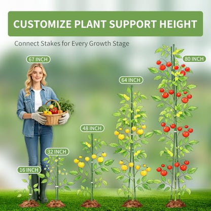 PROWORX Garden Plant Stakes, 16 Inch 30 Pack DIY 4ft 5ft 6ft Tomato Stakes - size: 16 Inch 30 Pack