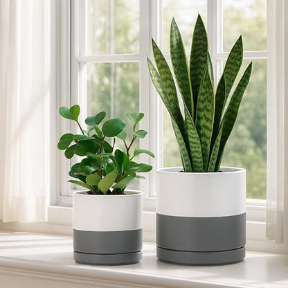 D'vine Dev 2-Pack Ceramic Pots with Saucers, 6/8 in, White/Grey, 94-G-M-6 - color: White/Speckled Grey, size: Medium