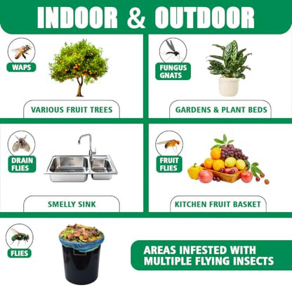 6pcs Sticky Insect Trap Ball Osseph Fruit Fly Trap Balls for Indoor Outdoor - color: Green