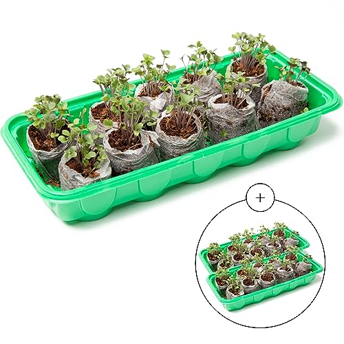 Window Garden Mini Greenhouse Seed Starter Kit – Reusable Seedling Trays - Indoor Germination Tray with Humidity Dome and Soil Pods - Windowsill Seeds Germinator - 30 Cells Starting Trays, 3 Pack