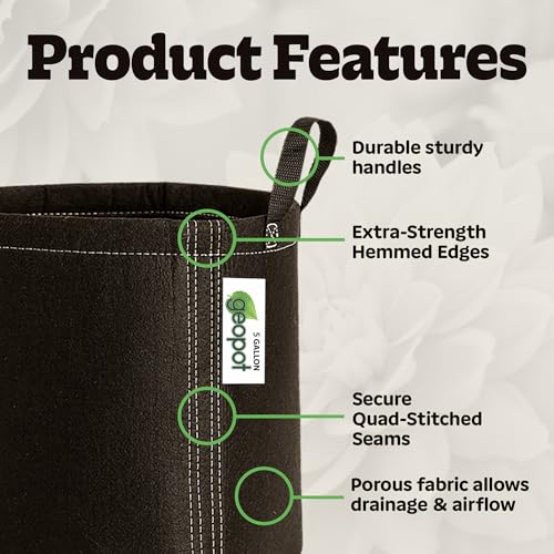 GeoPot 5 Gallon Fabric Grow Bags with Handles - 10-Pack - Breathable, Aerated, Portable - Black - Ideal for Vegetables, Herbs, Flowers & Houseplants - Indoors & Outdoors - size: 5 Gallon (10-Pack), style: With Handles