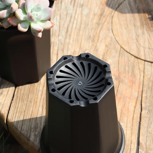 8 Pack 6.10 Inch Black Plastic Deep Nursery and Seedling Pots, Round Planter Container for Transplanting, Cutting, Succulent - color: Black, size: 6.10 inch