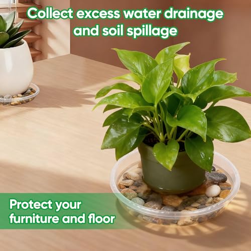 25 Pack Plant Saucer Tray, 6/8 / 10/12 /14 inch Heavy Duty Flower Pot Trays, Plastic Plant Saucer for Indoor & Outdoor Plants, Plant Trays to Catch Water, 5 Pieces of Each Size - size: 6/8/10/12/14 inch