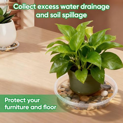 20 Pack Plant Saucer Tray, 6/8 /10/12 inch Heavy Duty Flower Pot Trays, Plastic Plant Saucer for Indoor & Outdoor Plants, Plant Trays to Catch Water, 5 Pieces of Each Size - size: 6/8/10/12 inch