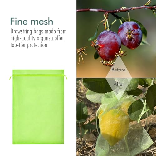 Fruit Protection Bags, Fetanten 4x6 in Mesh Drawstring Bag for Fruit Trees - size: 4 x 6 Inch 40pcs