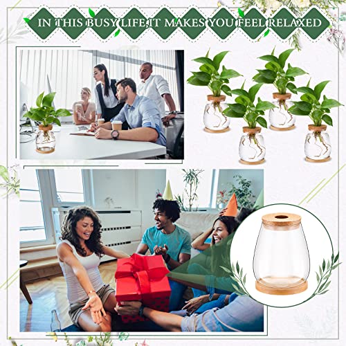 Nuanchu 4 Pcs Desktop Plant Terrarium Vase, Large