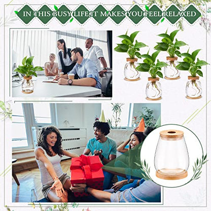 Nuanchu 4 Pcs Desktop Plant Terrarium Vase, Large