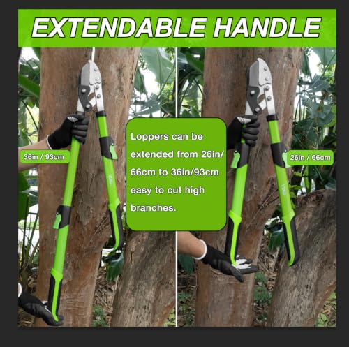 26"-36" Extendable Anvil Loppers, Compound Action Branch Cutter, 2 Inch Cut - style: 36" Extendable Anvil Loppers