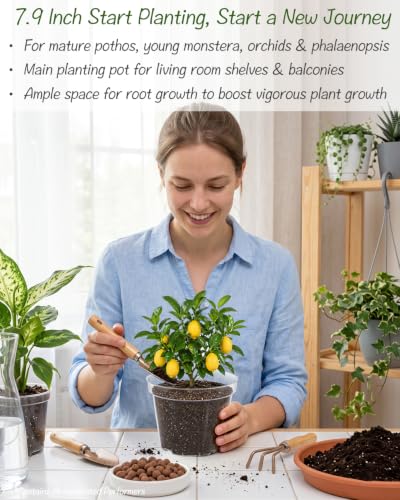 16 Pack 4/6/7.9/9.8 inch Clear Nursery Pots with Drainage Holes